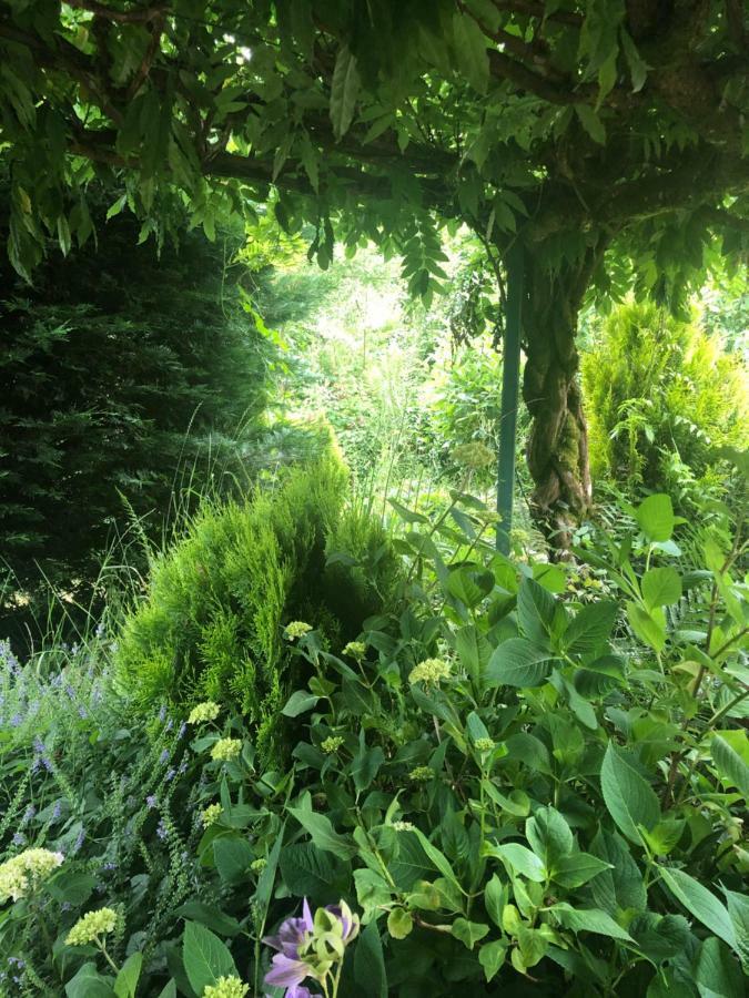 Lo'Gite L'Allee Du Val Lalaye Exterior foto