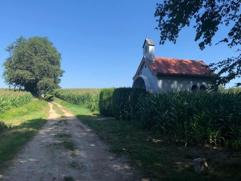 Lo'Gite L'Allee Du Val Lalaye Exterior foto