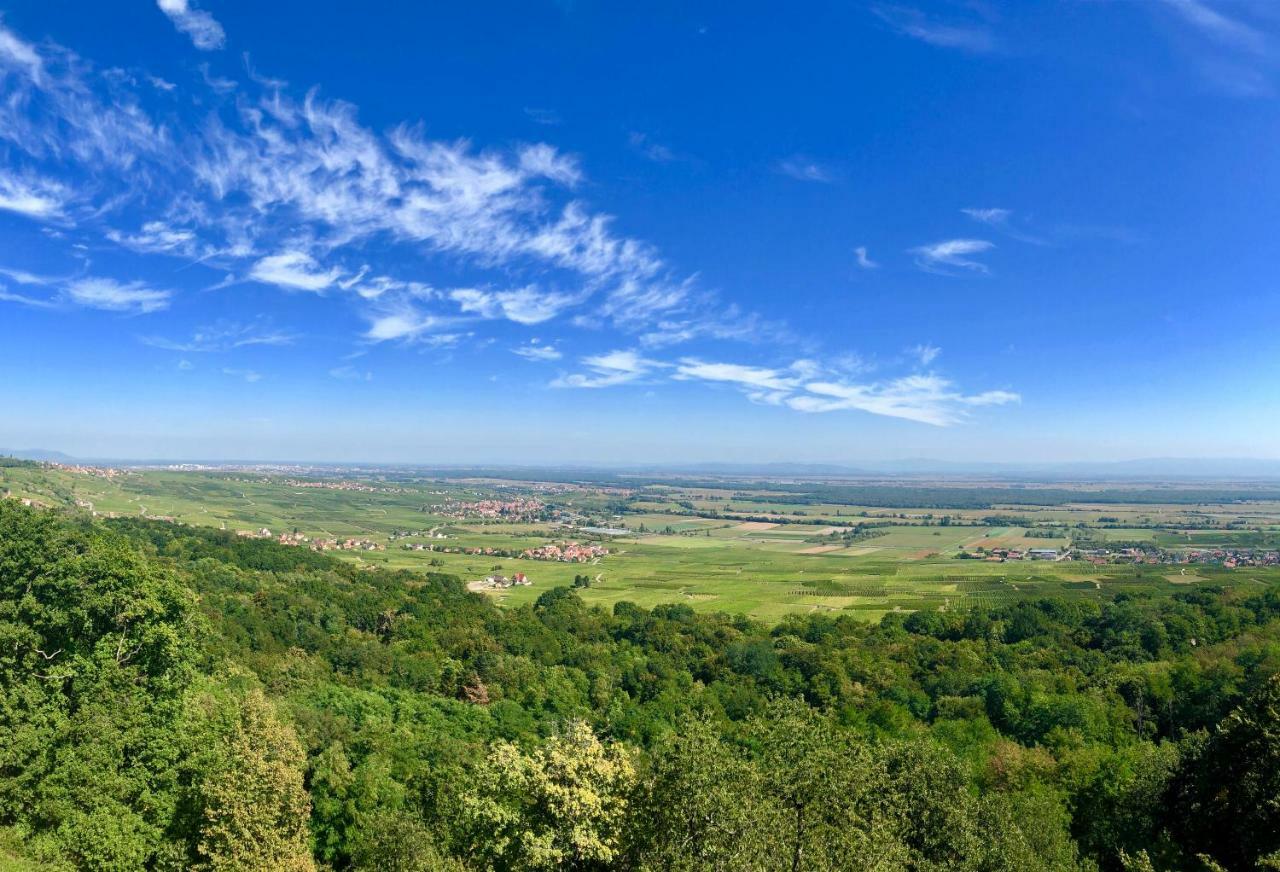 Lo'Gite L'Allee Du Val Lalaye Exterior foto